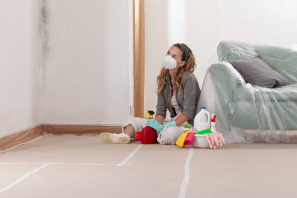 Reliable Commercial Mold Remediation contractor in Fairplay, MD by WQB Mold Removal